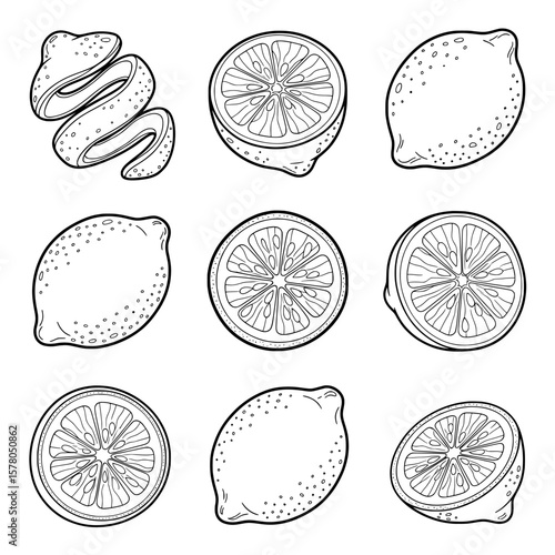 Seamless pattern of lemon and citrus slices with whole fruits