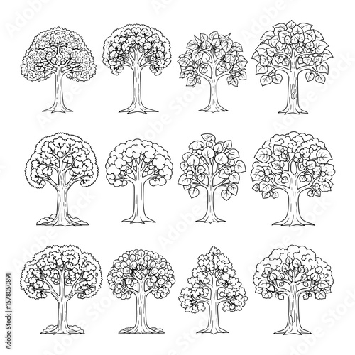 Set of various tree outlines for landscape and nature design