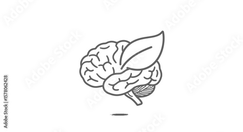 Stylized brain outline with a leaf overlaying the cerebral hemisphere