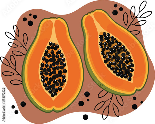 Papaya fruit halves with black seeds and brown background abstract vector illustration in natural colors
