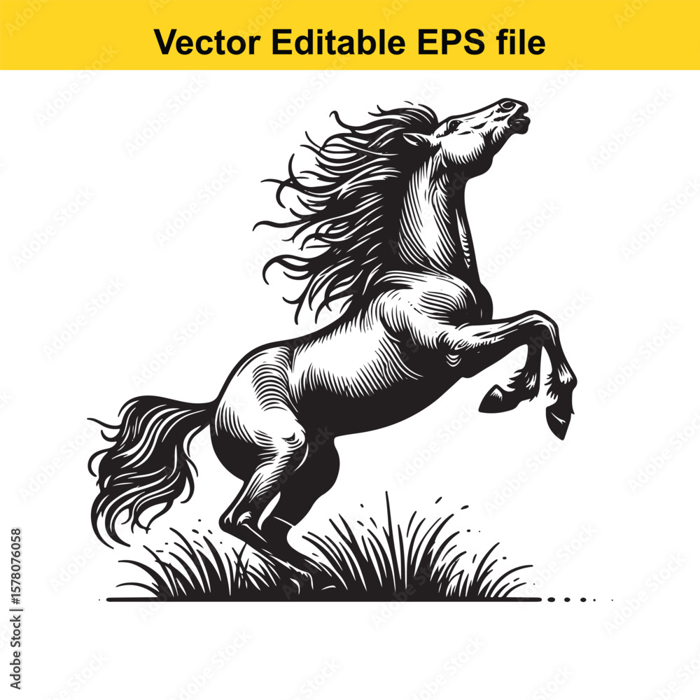 Obraz premium Majestic Stallion Rearing Upward Black and White Engraving Style with Flowing Mane and Tall Grass Accenting the Image