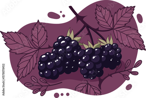 Blackberries with textured leaves vector illustration featuring purple background and natural berry cluster design 