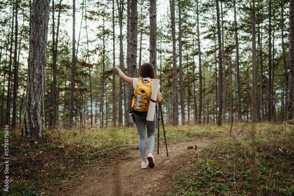 Young caucasian woman hiking or trekking through scenic forest with hiking poles Young caucasian woman hiking or trekking through scenic forest with hiking poles