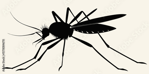 Silhouette illustration of a mosquito in lateral position, its main anatomy is the head with prominent antennae and proboscis, a large thorax, and six slender legs and a pair of transparent wings.