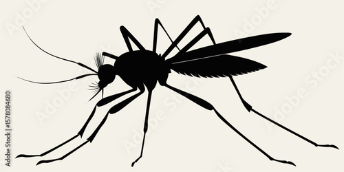 Silhouette illustration of a mosquito in lateral position, its main anatomy is the head with prominent antennae and proboscis, a large thorax, and six slender legs and a pair of transparent wings.