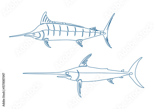 カジキ一筆書きイラスト