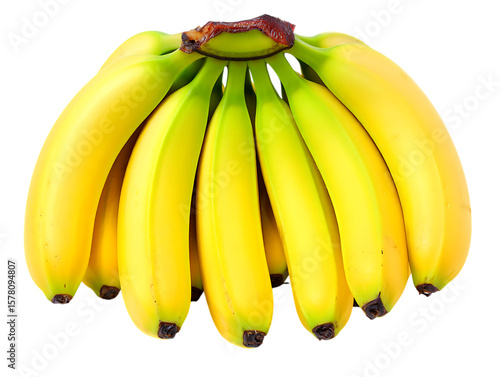 Bunch of ripe yellow bananas with green tips isolated on transparent background