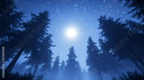 Looking up at a starry night sky through towering forest trees illuminated by a bright celestial body