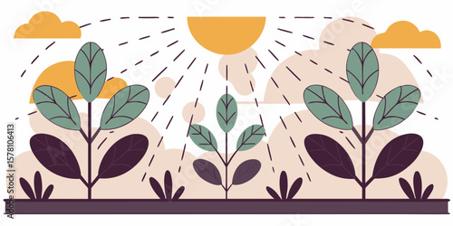 Transpiration from Plants Water Cycle Vector Illustration