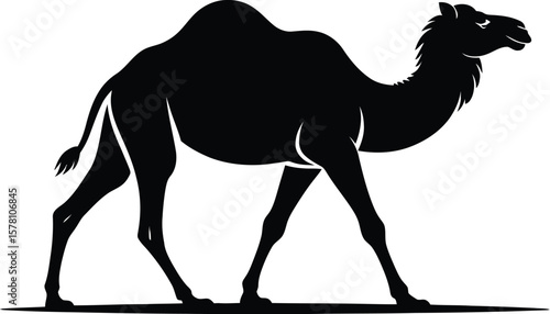 Black camel walking silhouette animal mammal