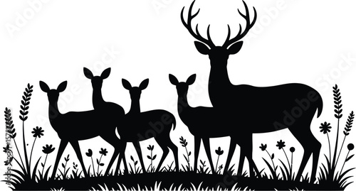 Stag and does in meadow deer fawn