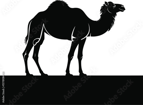 Camel silhouette standing on black ground white animal