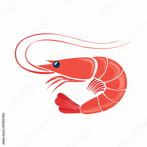 shrimp vector illustration