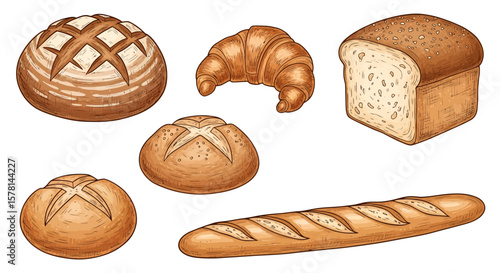 Freshly Baked Bread Collection