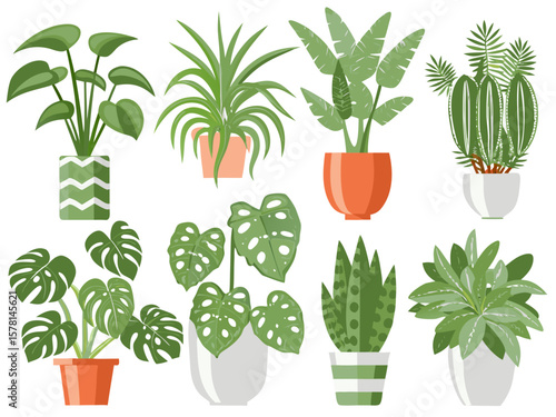 houseplants set house decor plants succulents indoor exotic flowers stems leaves monstera ficus pothos yucca dracaena cacti snake plant home interior illustration