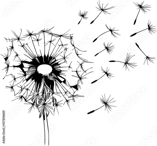 Line art drawing of a dandelion puffball with seeds blowing in the wind, single-stroke outline.
