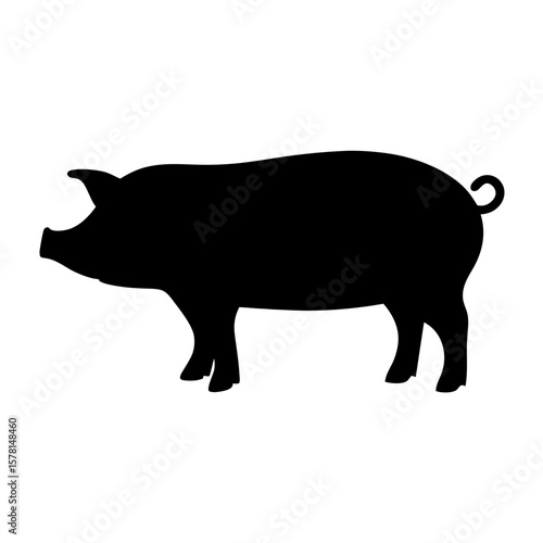 Silhouette image of a pig standing still on a white background