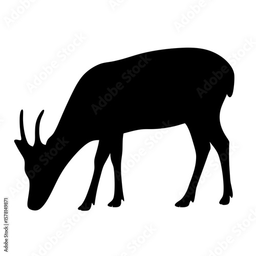 Silhouette of a deer grazing in a pasture on a white background