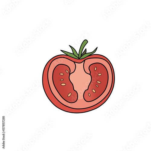 tomato vector illustration