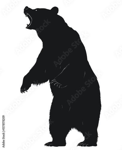 Silhouette of a Roaring Bear Standing on Hind Legs Isolated on White