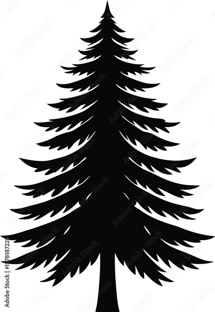 Obraz premium Evergreen Tree Silhouette