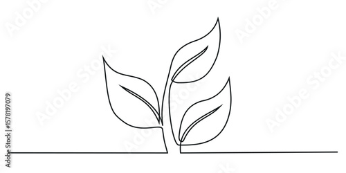 Continuous one line drawing of step of grow plant. Vector illustration. Editable stroke.