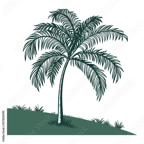 Artistic vector illustration of a tall palm tree on a grassy hillside in a monochrome style