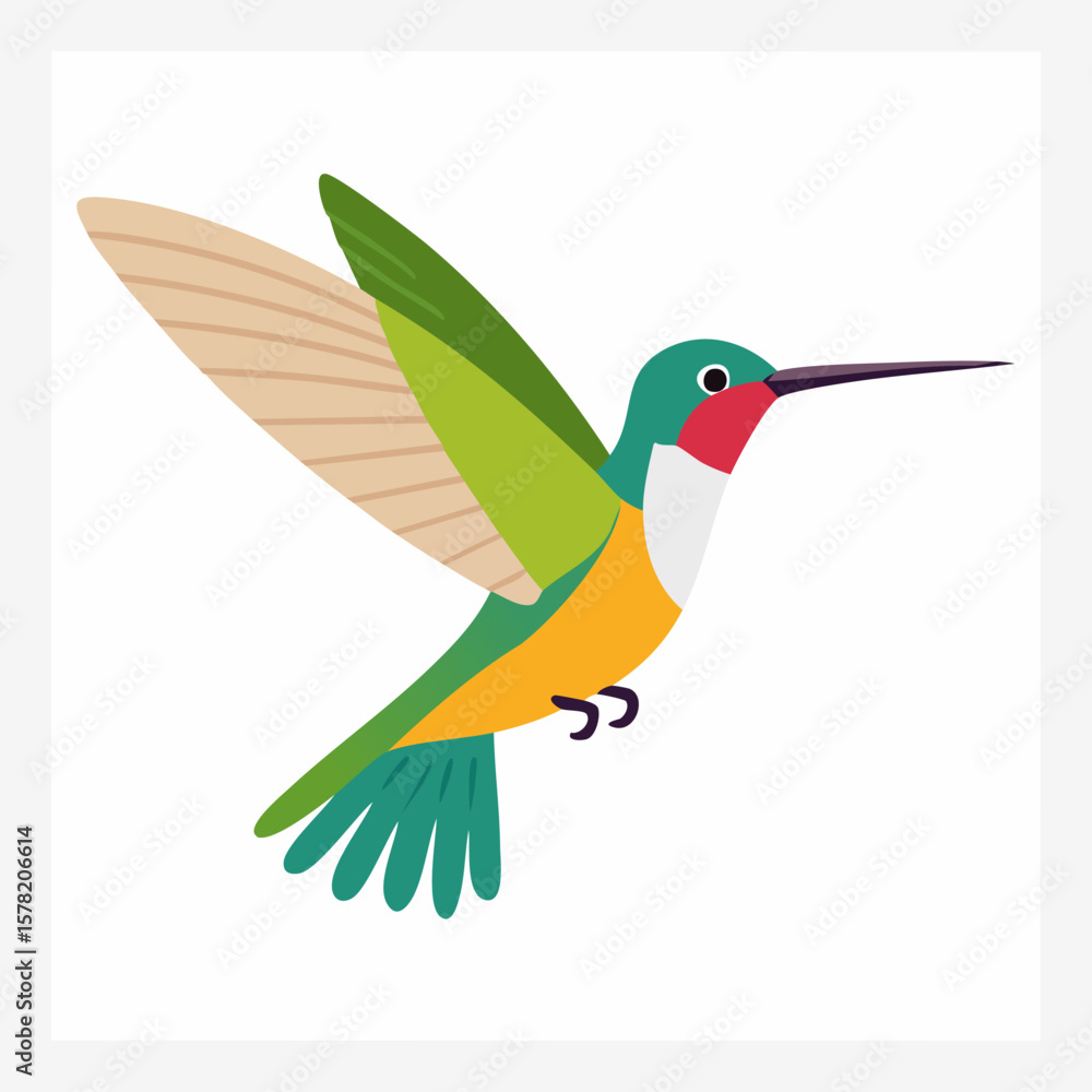 Obraz premium Colorful Hummingbird in Flight with Detailed Wing and Tail Feathers