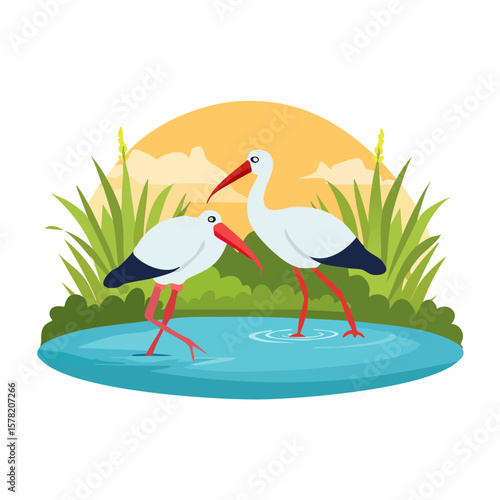 Two White Storks with Red Beaks and Legs in a Pond Scene.