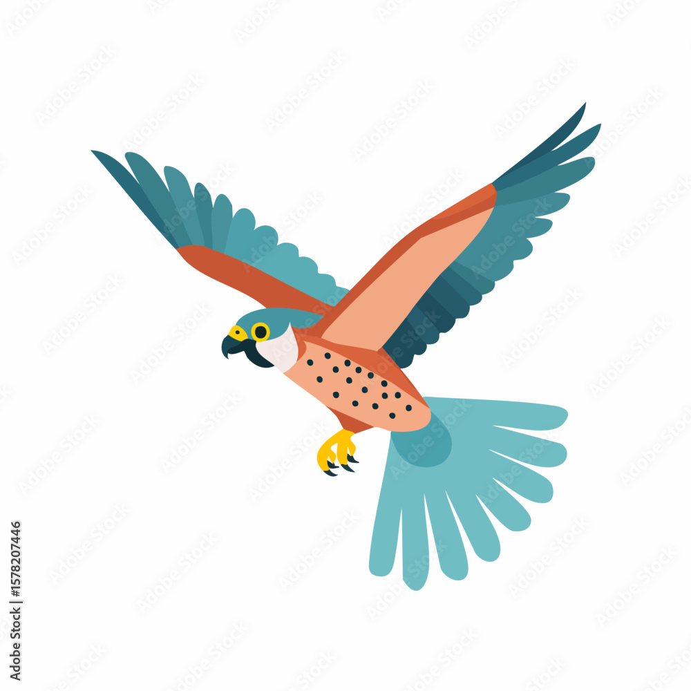 Fototapeta premium American Kestrel in Flight: Detailed Avian Illustration