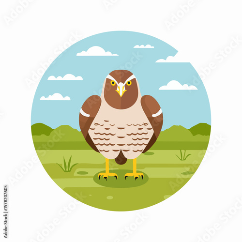 Brown Hawk in a Circular Meadow Landscape
