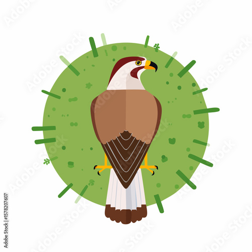 Majestic Brown Hawk Perched on Green Meadow Illustration