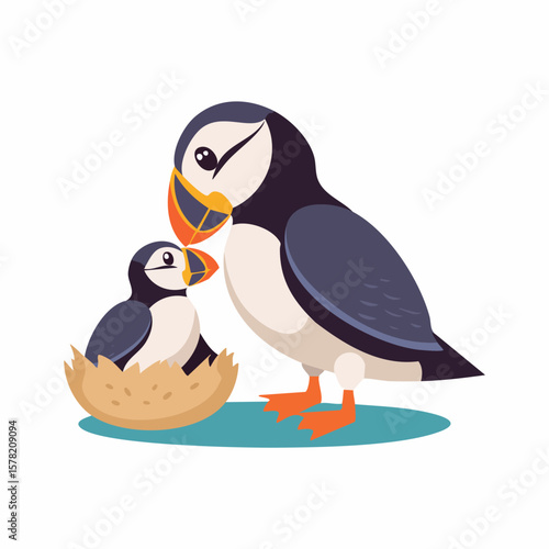 Caring Puffin Parent Feeding its Chick in Nest