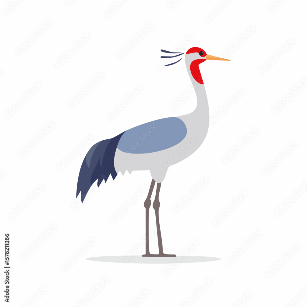 Obraz premium Stylized Illustration of a Grey Crowned Crane with Red Crest and Feathers