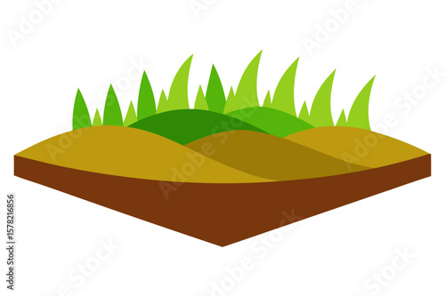 Rice Paddy With Earthen Boundaries On White Background
