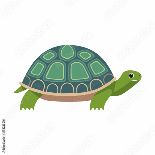 Cartoon Turtle with Detailed Shell and Smiling Expression, Side View