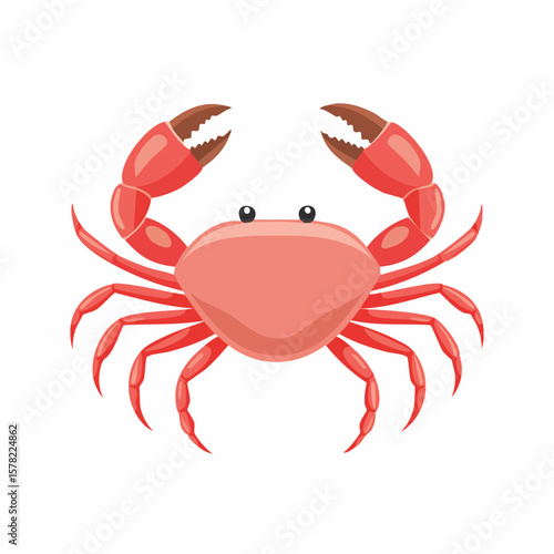 Cartoon Crab with Red Claws and Eight Legs, Facing Forward.