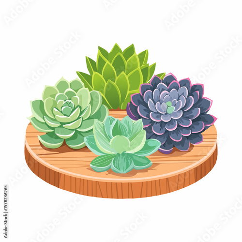 Colorful Succulent Arrangement Displayed on a Wooden Circular Platform