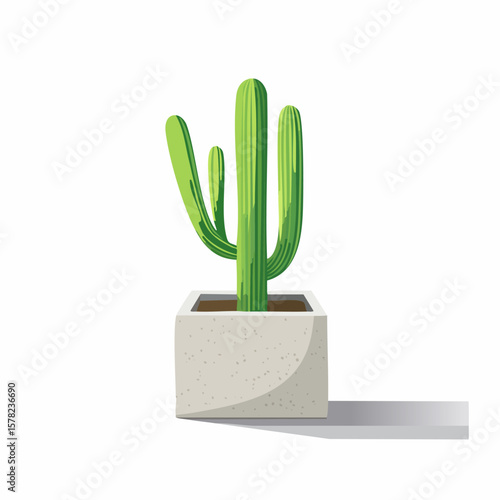 Vibrant Cactus in a Modern Concrete Planter with Shadow