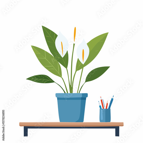Vibrant Peace Lily in Blue Pot with Office Supplies on Shelf