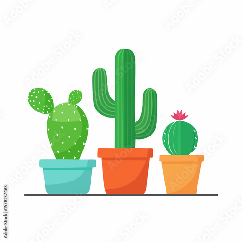 Colorful Cactus Trio Displayed in Pots, Featuring Unique Shapes and Designs