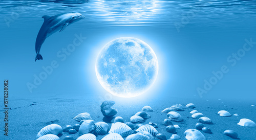Fototapeta Naklejka Na Ścianę i Meble -  Full moon under water on the blue tropical beach shell in oyster shells in the foreground 