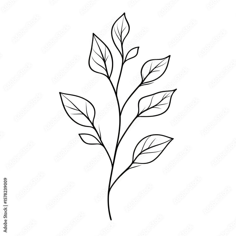 Fototapeta premium A simple line drawing of a plant stem with several leaves on a transparent background