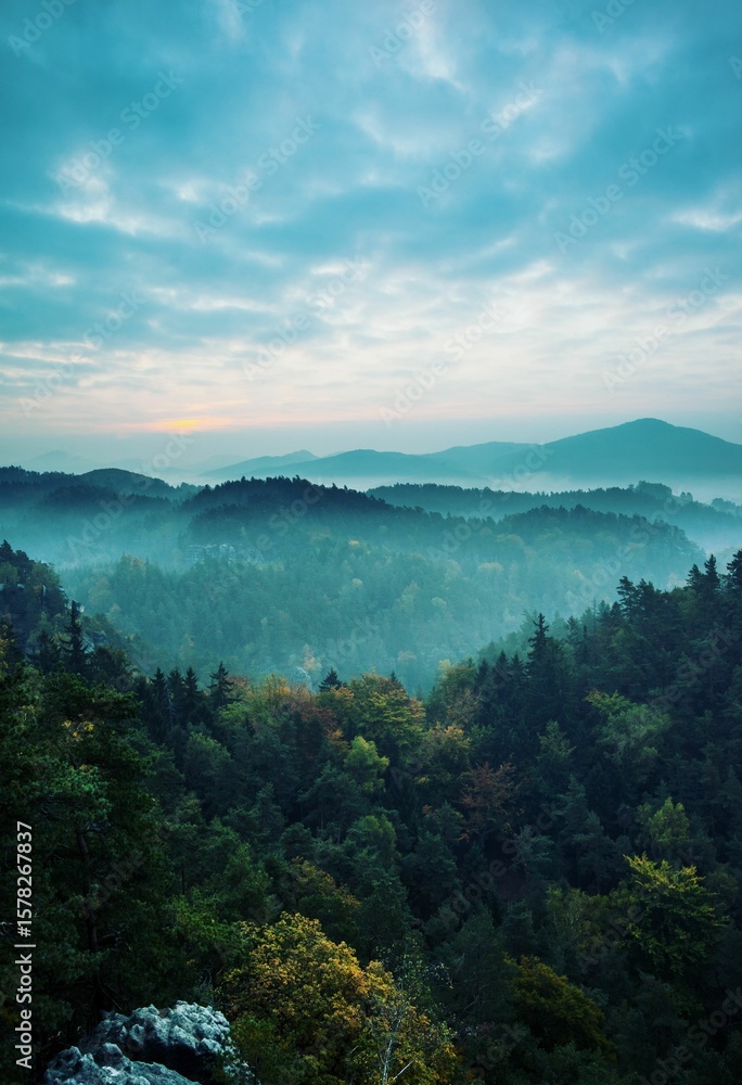Fototapeta premium Scenic view of forest against cloudy sky