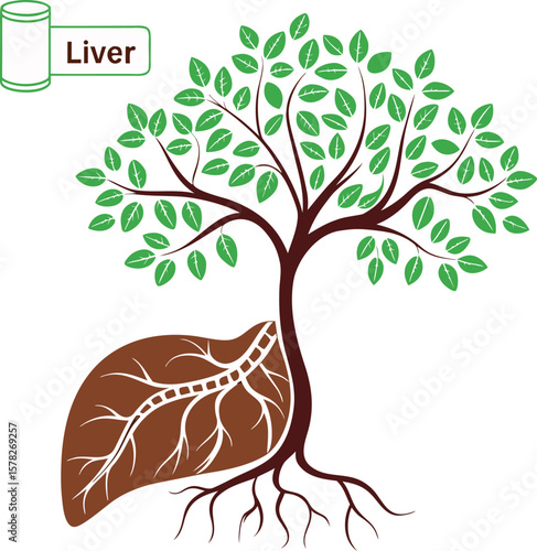 liver health tree concept with root and leaf shape
