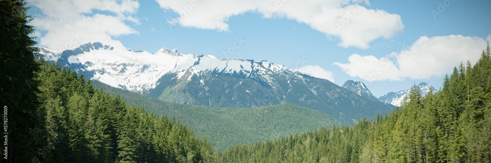 Fototapeta premium Forest with snowy mnountains