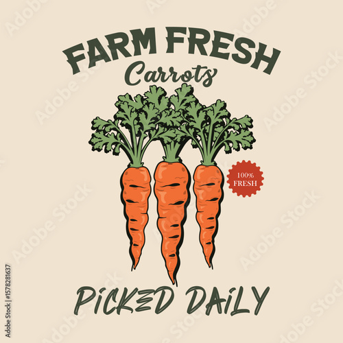 Farm Fresh carrots Picked daily. Fresh veggies artwork for t shirt print. Carrot vintage t shirt design. Fresh carrot club. Carrot poster, sticker and other uses. Carrot Club artwork for t shirt print