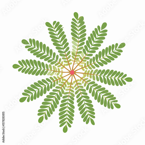 Stylized Green Leafy Plant with Radial Symmetry and Red Center