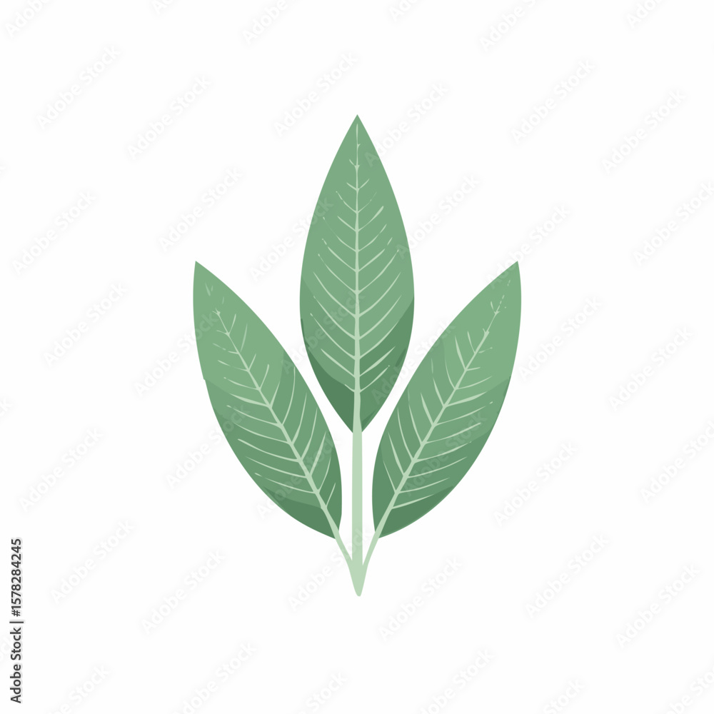 Fototapeta premium Stylized Green Leaves with Detailed Veins and Minimalist Design