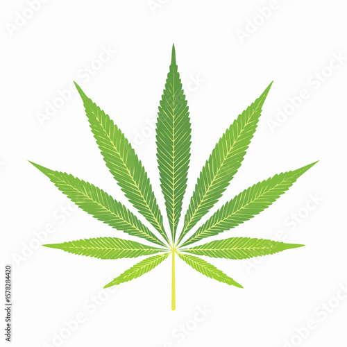 Detailed Green Cannabis Leaf with Veins and Stem Illustration